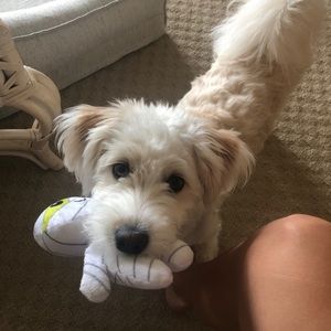 Meet your Posher, Katie